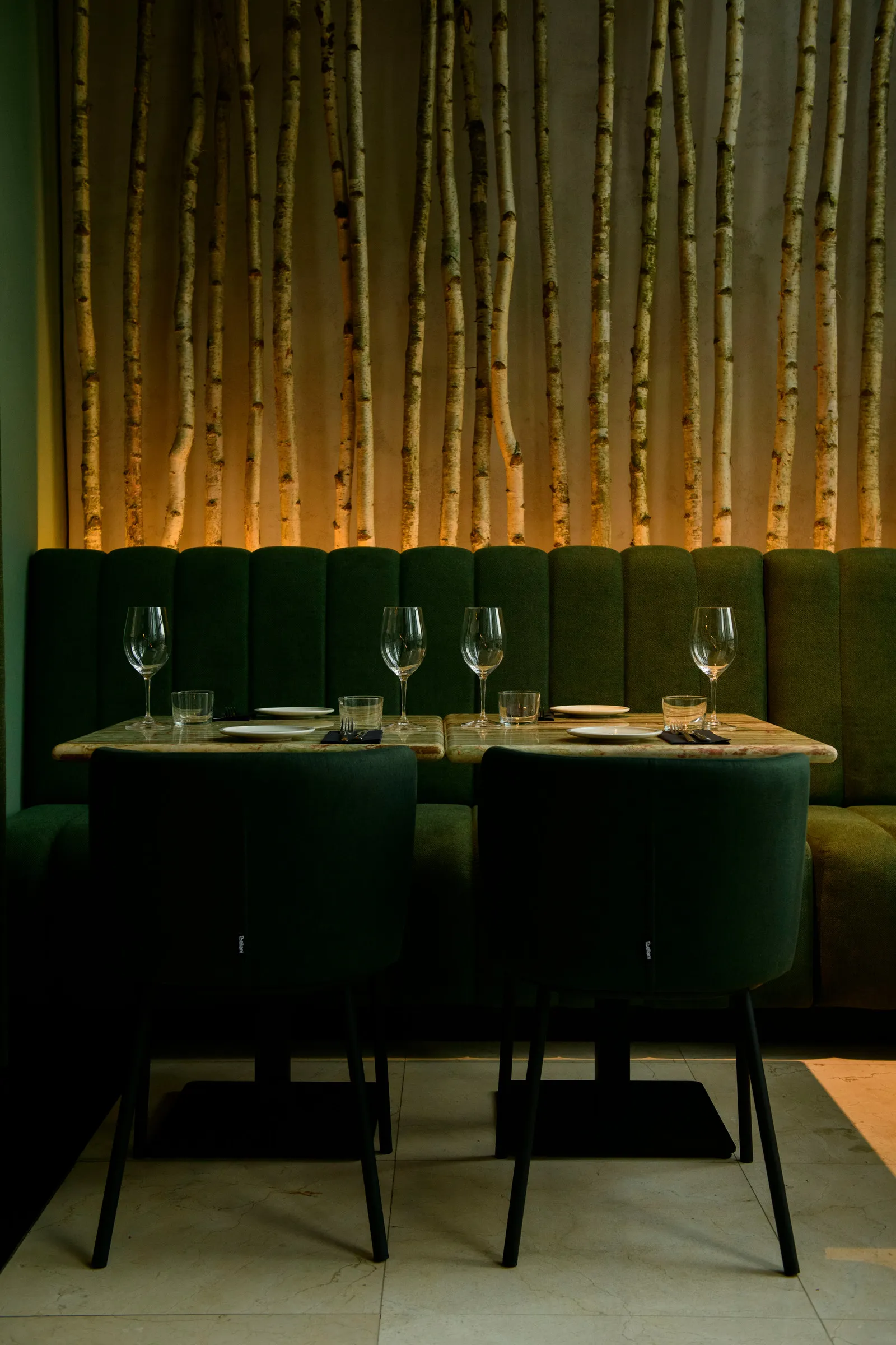 Dark green booth in front of a softly lit wall of birch trunks